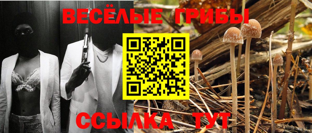Галлюциногенные грибы MAGIC MUSHROOMS Каменск-Уральский
