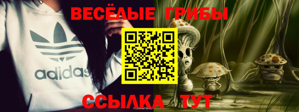 Каменск-Уральский  Галлюциногенные грибы ЛСД  Псилоцибиновые грибы Psilocybine cubensis  наркота  Вход с VPN 